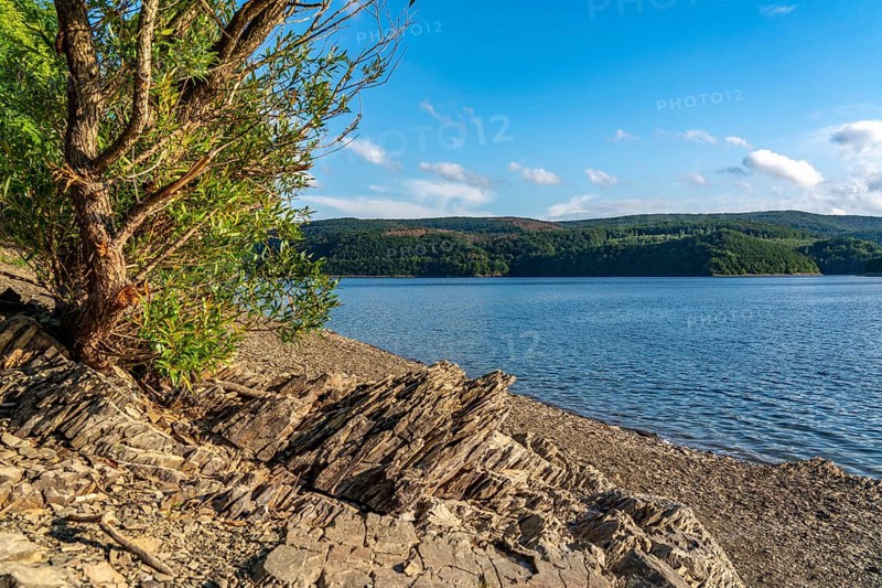 Lake Rursee, reservoir in the Eifel National Park, north-east bank near Heimbach, near the Rur dam Schwammenauel, North Rhine-Westphalia, Germany, Europe