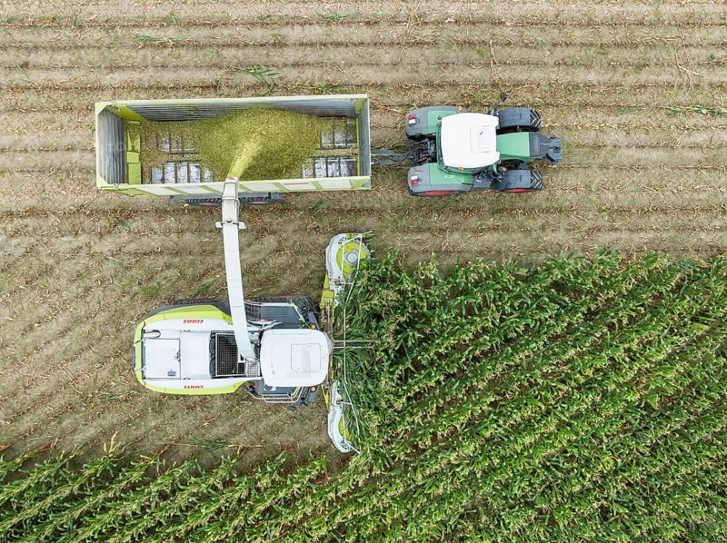 A tractor with silage transport wagon drives next to a forage harvester to load chopped maize, maize harvest, silage, forage maize, fodder for dairy cows, energy production, aerial view, Constance district, Baden-Württemberg, Germany, Europe