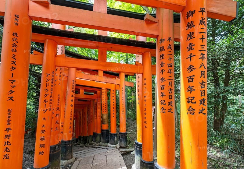 Torii path, Fushimi Inari-Taisha shrine, Kyoto, Japan, Asia