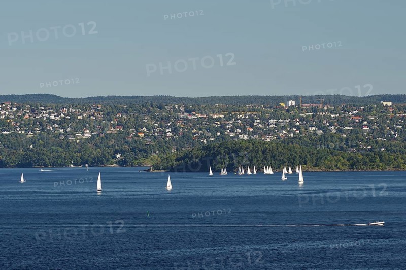 A few sailboats float calmly on the water, in front of a hilly cityscape under a clear sky, Oslofjord, capital city, Oslo, Norway, Europe