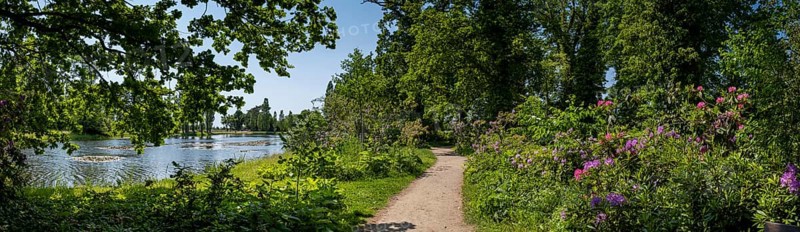 Dessau-Wörlitz Garden Kingdom, Wörlitz Park, UNESCO World Heritage Garden Kingdom of Dessau-Wörlitz, Dessau, Saxony-Anhalt, Germany, Europe