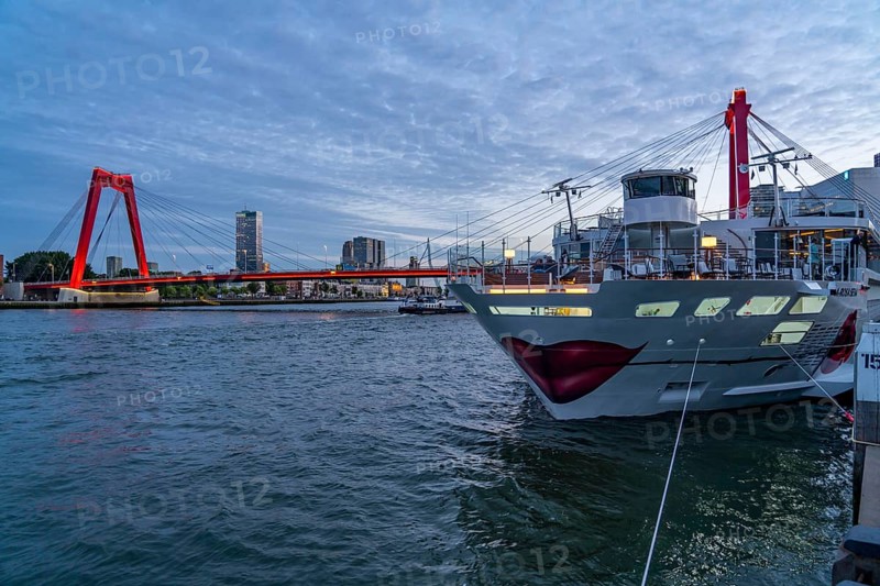 The skyline of Rotterdam, at the Nieuwe Maas, river, skyscrapers, buildings in the city centre, Netherlands, Willemsbrug, river cruise ship A-Rosa Sena at the pier