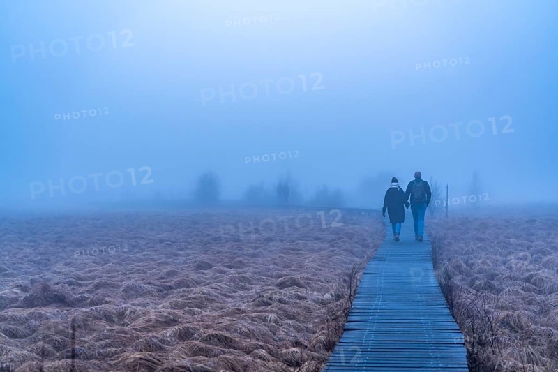 The High Fens nature park Park, in the German-Belgian border region near Eupen, winter, fog, wooden plank paths north-east of the Baraque Michel, Eupen, Belgium, Europe