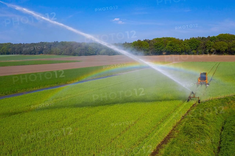 Irrigation of a wheat field on the Lower Rhine, with a mobile irrigation machine, large-area sprinkler, Germany, Europe