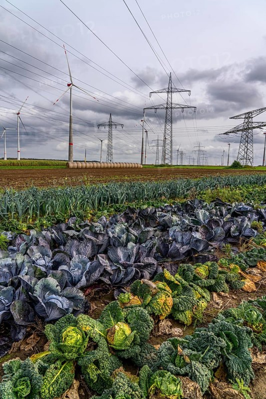 Wind farm, power line, high-voltage pylons, agriculture, fields, fields, east of Bad Wünnenberg, OWL, North Rhine-Westphalia, Germany, Europe