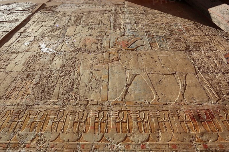 Part of the temple complex, pictorial representations, engravings on the walls, columns, representation of fertility, man feeding cow, mortuary temple of Hatshepsut, Hatshepsut Temple in Deir el-Bahari on the west bank of the Nile in Thebes, Africa, Egypt, Upper Egypt, Africa