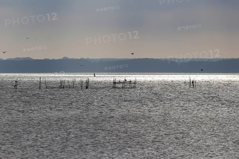 Usedom, on the Achterwasser, September, Mecklenburg-Western Pomerania, Germany, Europe