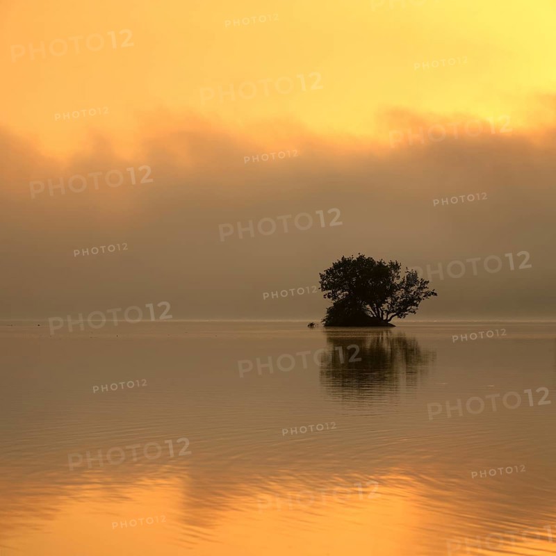 Sunrise at the Edersee with morning mist on the water, small island in the Eder dam, Ederstausee, Hesse, Germany, Europe