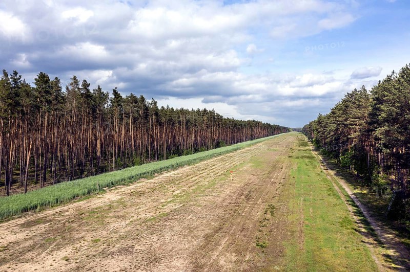 A path in the forest shows the route of the EUGAL pipeline. Hydrogen could be transported via the pipeline in the future, Grünheide, 16 05 2023