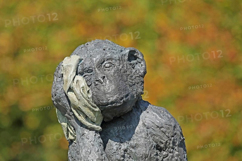 Sculpture A & E Monkey by Laura Ford, monkey figure, detail, head, headache, injury, head injury, cloth, bandage, pity, compassion, help, medicine, sick, grey, bronze, sculpture park, Niederhöchstadt, Eschborn, Taunus, Hesse, Germany, Europe
