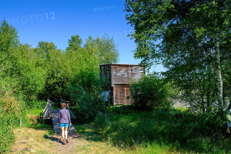 Am Torfwerk, Pfrunger-Burgweiler Ried nature reserve, Wilhelmsdorf, Baden-Württemberg, Germany, Europe
