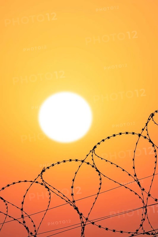 Symbolic image imprisonment, barbed wire fence in front of the sun, sunset, protective fence, locked in, locked out, Baden-Württemberg, Germany, Europe