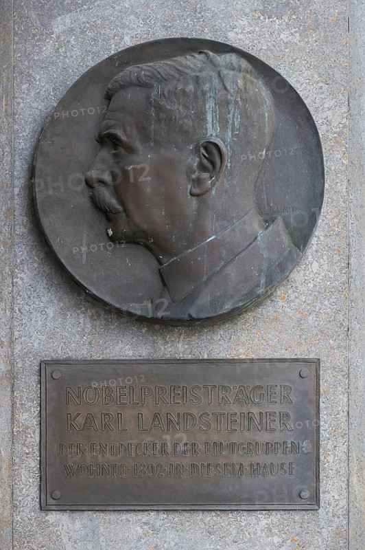 Commemorative plaque of Nobel Prize winner Karl Landsteiner, inventor of blood groups, Würzburg, Unterfanken, Bavaria, Germany, Europe