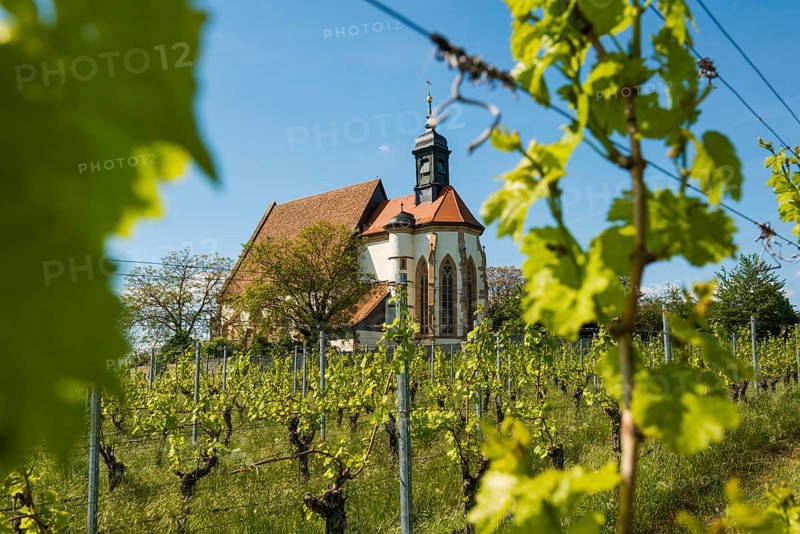 Pilgrimage church Maria im Weingarten, Volkach, Mainfranken, Lower Franconia, Franconia, Bavaria, Germany, Europe