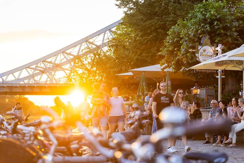 Summer evening at the Elbe garden in Dresden Loschwitz, Summer in Loschwitz, Dresden, Saxony, Germany, Europe