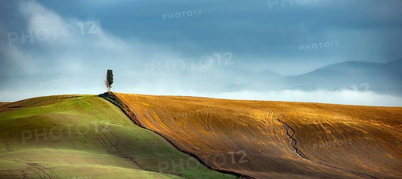 Landscape Panorama Crete Toscana Italy