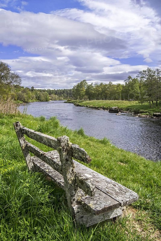 Old weathered wooden bench on riverbank along the river Spey in spring at Grantown-on-Spey, Highland, Moray, Scotland, UK