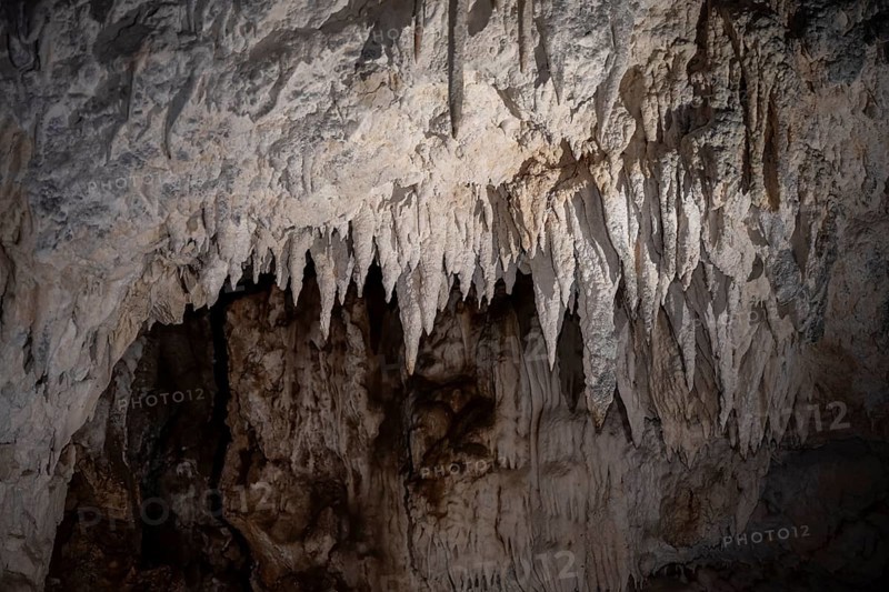Stalactites in a stalactite cave, Terciopelo Cave, Barra Honda National Park, Costa Rica, Central America