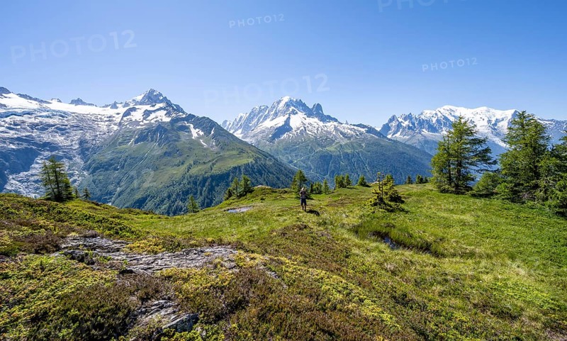 Mountaineer in front of a mountain panorama with glaciated mountain peaks, Aiguille Verte with Aiguille du Midi and Mont Blanc, hike to Aiguillette des Posettes, Chamonix, Haute-Savoie, France, Europe