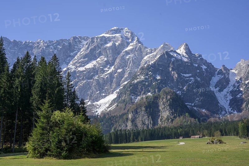 Alpine meadow with the Mangart mountain range behind it, Lago Fusine, Tarvisio, province of Udine, Italy, Europe
