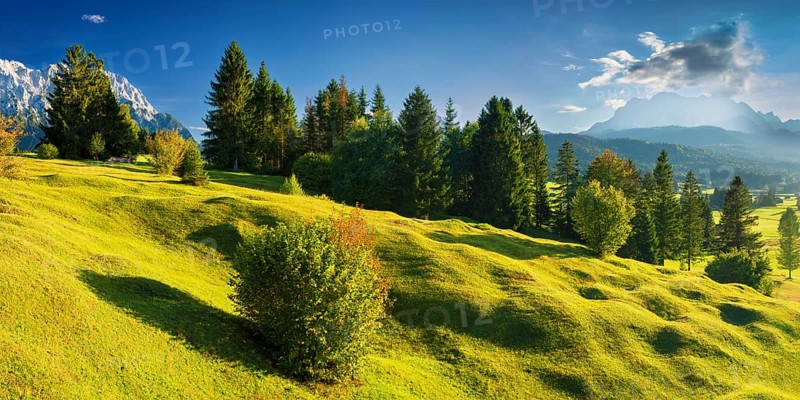 Humpback meadows between Mittenwald and Krün, Werdenfelser Land, Upper Bavaria, Bavaria, Germany, Europe