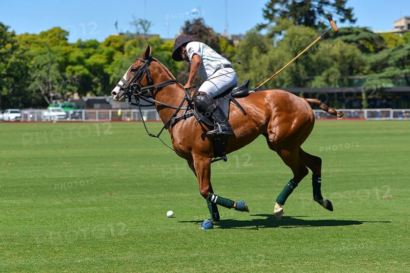 Franzisco Elizalde from the La Hache Polo Team, at the 131st Argentine Open Polo Championship (Spanish: Campeonato Argentino Abierto de Polo), the most important international polo tournament, on 23 November 2024, Palermo, Buenos Aires, Argentina, South America