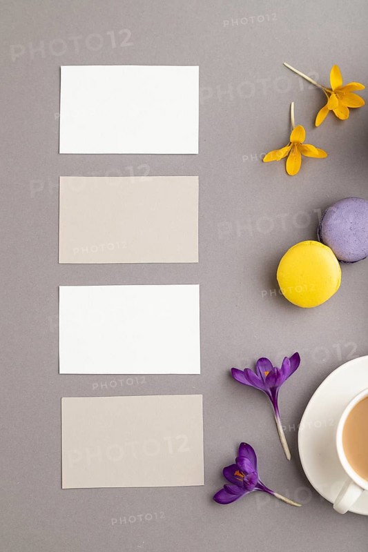 Gray and white business card mockup with spring snowdrop crocus flowers, cup of coffee, multicolored macaroons on gray pastel background. Blank, business card, top view, flat lay, copy space, still life. spring concept