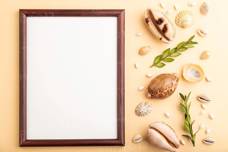 Composition with wooden frame, seashells, green boxwood. mockup on orange background. Blank, top view, still life, flat lay, copy space. travel concept