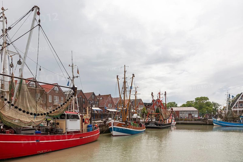 Cutter harbour Neuharlingersiel, shrimp cutter, East Frisia, Lower Saxony, Germany, Europe
