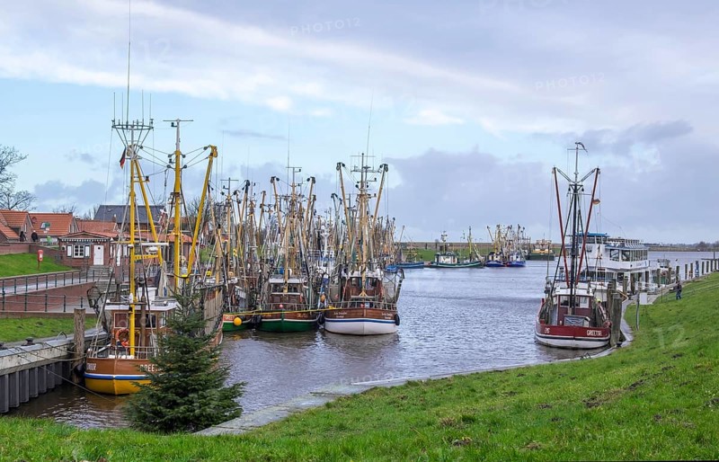 Crab cutter in the harbour of Greetsiel, the largest cutter fleet in East Frisia, Greetsiel, East Frisia, Lower Saxony, Germany, Europe