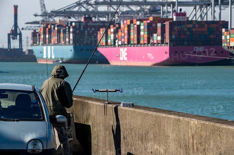 The seaport of Rotterdam, Maasvlakte, Hutchinson ECT Delta Terminal, Container Terminal, in the Amazonehaven Rotterdam Netherlands