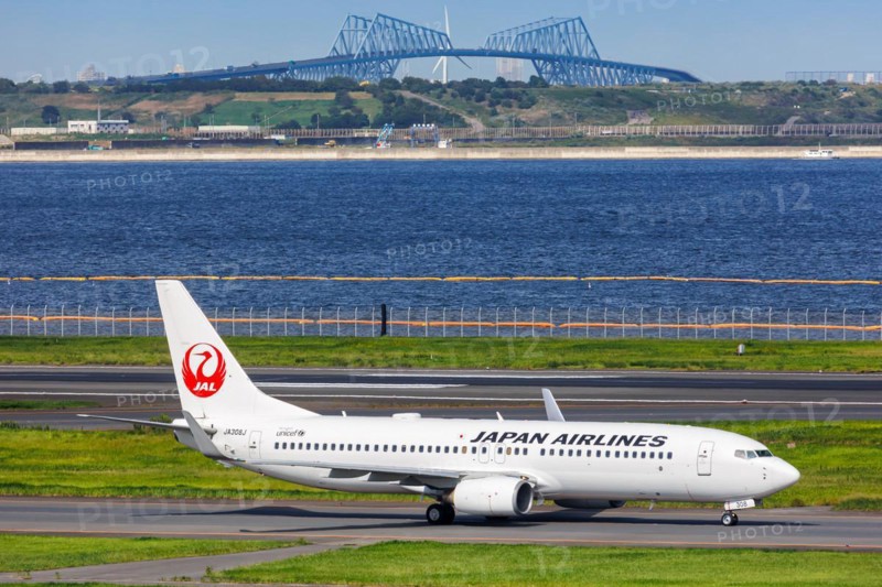 A Boeing 737-800 aircraft of Japan Airlines JAL with the registration JA308J at Tokyo Haneda Airport, Japan, Asia