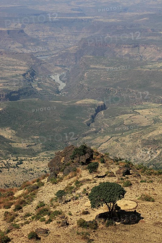 Landscape in the Choke Mountains, view into the valley, Ethiopia, Africa
