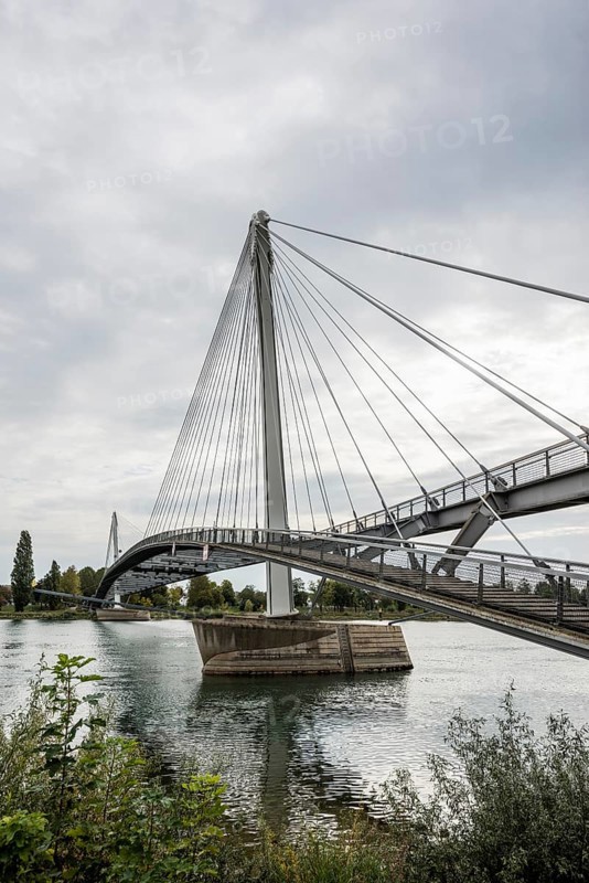 Bridge over the Rhine, cable-stayed bridge Passerelle des Deux Rives, Kehl, Ortenau, Baden-Württemberg, Germany, Europe