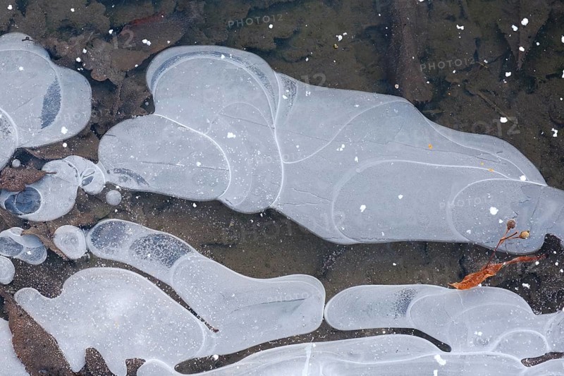 Pattern on frozen water surface, ice crystals, North Rhine-Westphalia, Germany, Europe