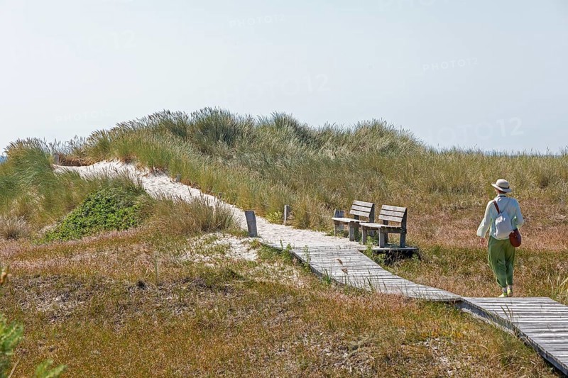 Wooden footbridge, benches, dunes, elderly woman, circular hiking trail, nature reserve, Darßer Ort, Born a. Darß, Mecklenburg-Western Pomerania, Germany, Europe