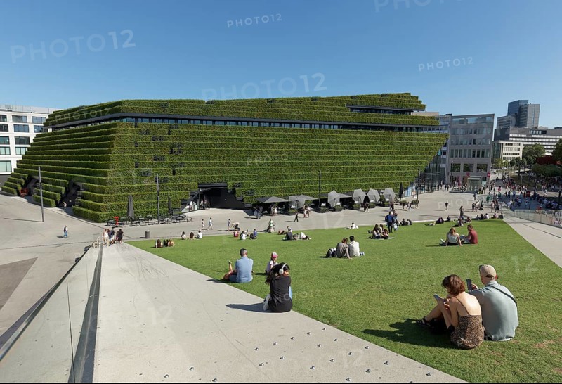 Ingenhoven Valley with sunbathing area in front of Kö-Bogen II, façade planted with 30, 000 hornbeams, ecological architecture to improve the climate Architect Christoph Ingenhoven, Düsseldorf, North Rhine-Westphalia, Germany, Europe