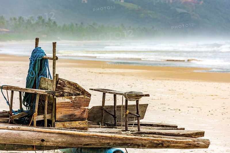 Primitive fishing boat used in northeastern Brazil called Jangada made with wooden trunks, Serra Grande / Uruçuca, Bahia, Brazil, South America
