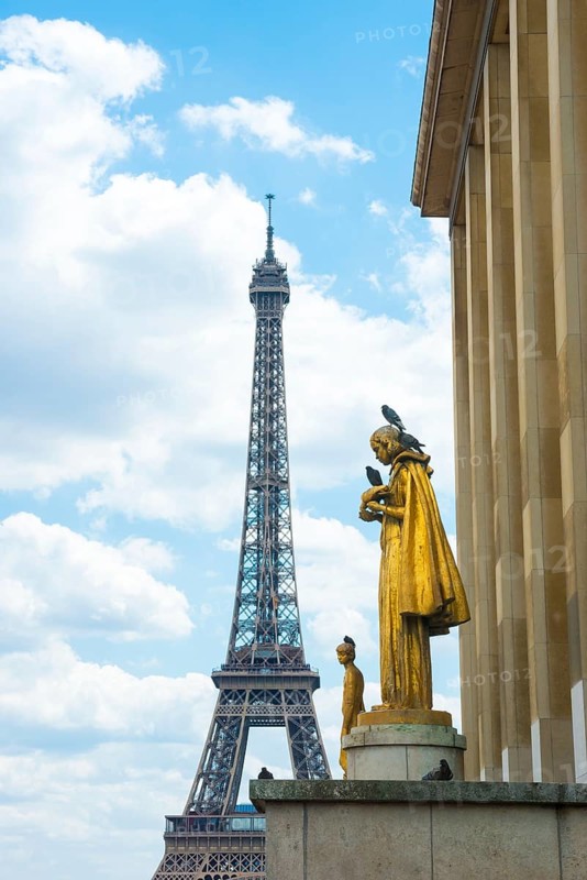 Eiffel Tower and golden statue Les Oiseaux (a woman feeding pigeons) by Louis Brasseur, street pigeons (Columba livia) or city pigeons, on a sunny day with blue sky and white clouds, Jardins du Trocadéro, Place du Trocadéro-et-du-11-Novembre, 16th arrondissement, Paris, France, Europe