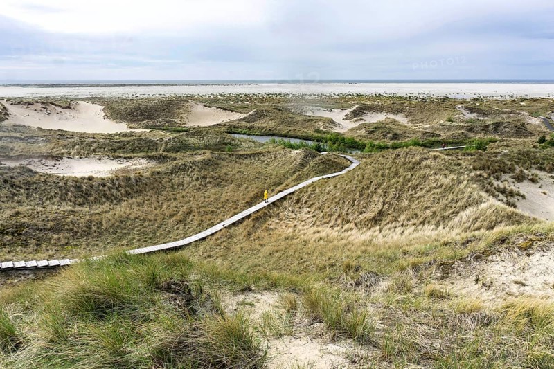 Woman with yellow rain jacket walking along a boardwalk in the dunes, Amrum Island, Wittdün, 24/05/2021