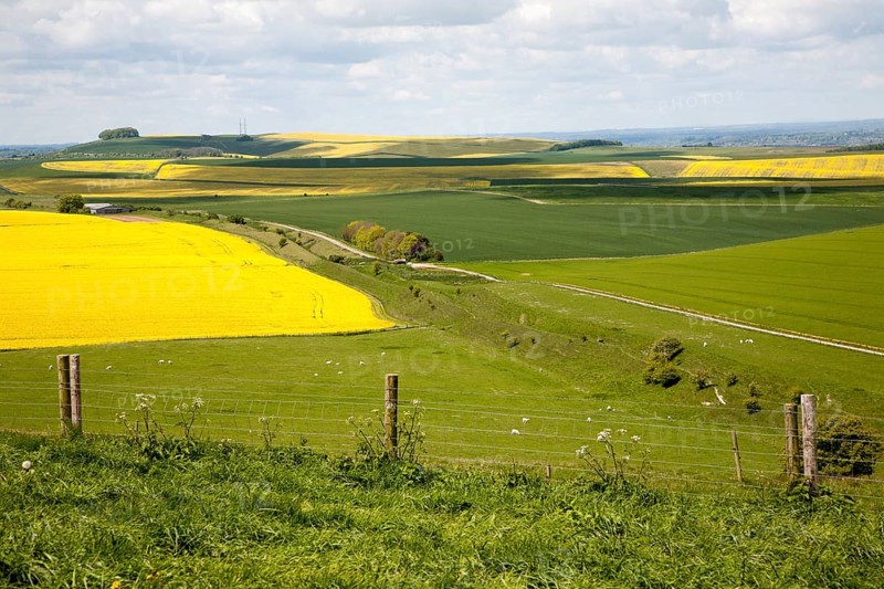 Ditch and embankment of the Wansdyke a Saxon defensive structure on chalk downs viewed from Tan Hill, Wiltshire, England, United Kingdom, Europe