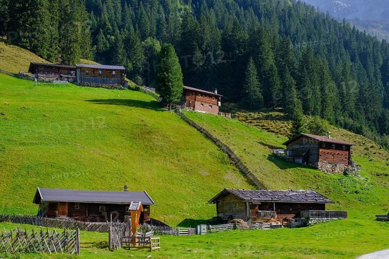 Helgas Alm, Valser Tal, Valser Tal Natura 2000 nature reserve, Wipptal, Tyrol, Austria, Europe