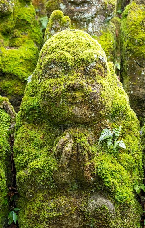 Close-up of moss-covered stone statue of rakan, the disciple of Buddha, Otagi Nenbutsu-ji temple, Kyoto, Japan, Asia