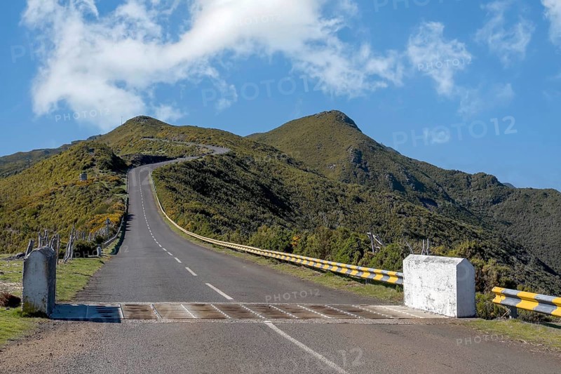 Road on the Paul da Serra plateau, a cattle grid in the foreground, Madeira, Portugal, Europe