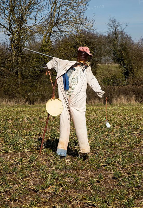 Scarecrow standing in field, Lindsey, Suffolk, England, UK