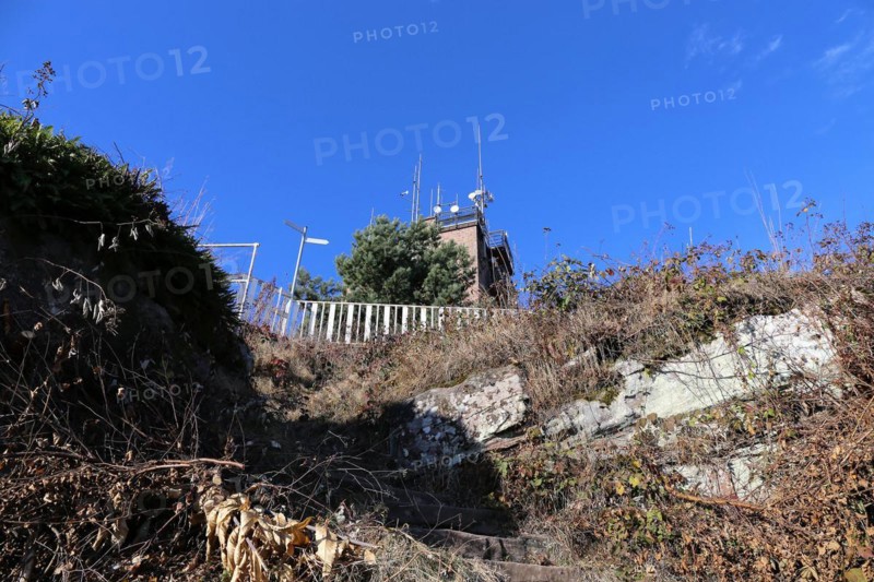 View of the summit of the Kalmit, the highest peak in the Palatinate Forest at 672 metres above sea level. In the background you can see the Kalmithaus, the hut run by the Palatinate Forest Association