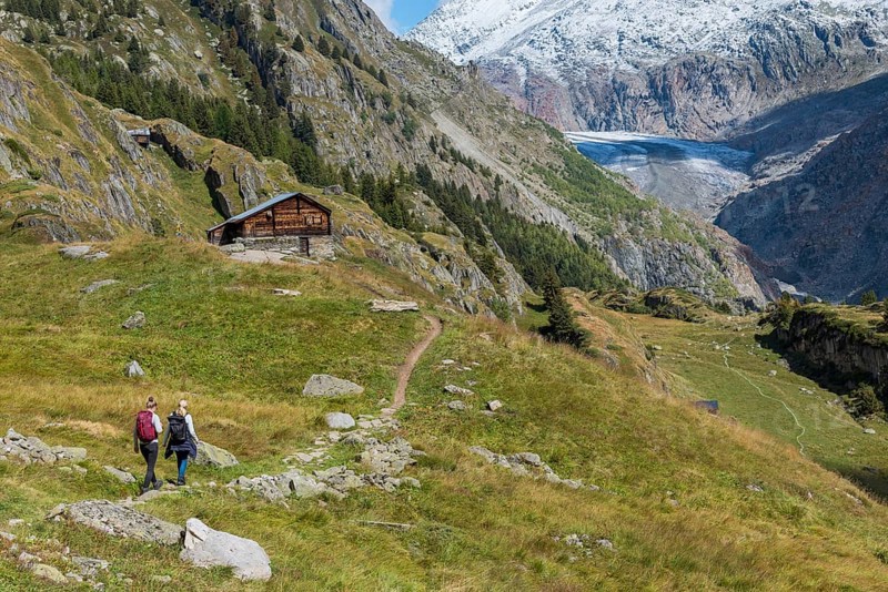The UNESCO Panorama Trail from Belalp to Riederfurka, hiking, hiking, mountain hiking, view of the Aletsch Glacier, tourism, Valais, Switzerland, Europe