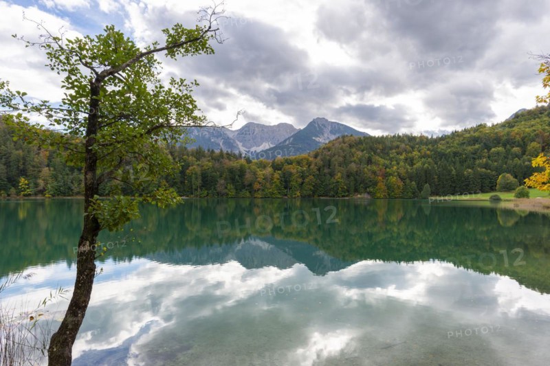 Alatsee, Ostallgäu, Allgäu, Swabia, Bavaria, Germany, Europe