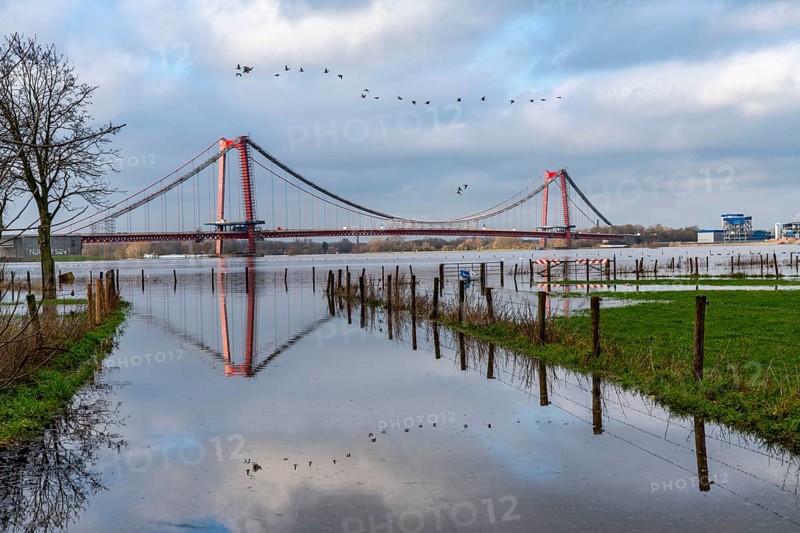 Flood on the Rhine, flooded Rhine meadows, fields, Rhine bridge Emmerich, road bridge of the B220, Lower Rhine, here near Emmerich, North Rhine-Westphalia, Germany, Europe