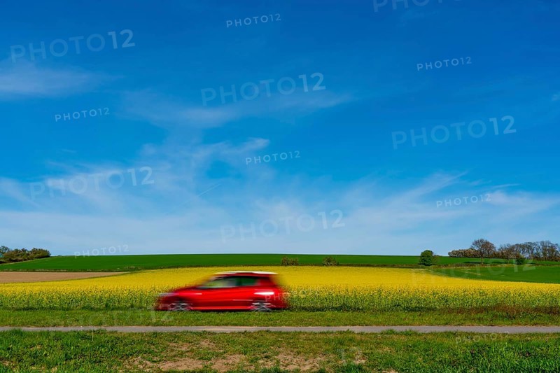 Country road by a flowering rape field, landscape near Mülheim an der Ruhr, Germany, Europe